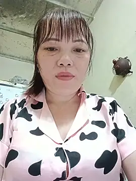Sana-vn webcam