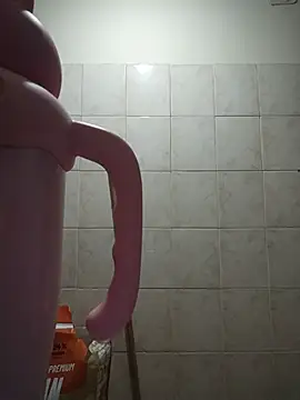 Bombon_ok webcam