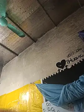 Sana-vn webcam
