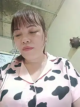 Sana-vn webcam