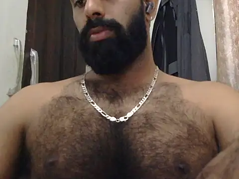 indianhairybull