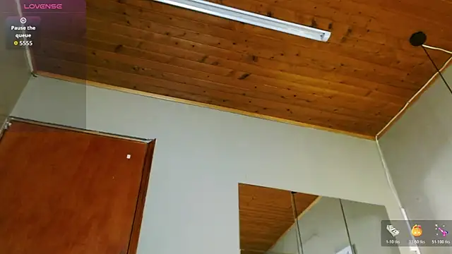 SonicJ25 webcam