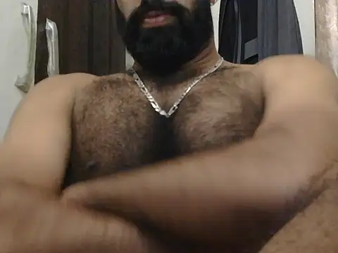 indianhairybull webcam