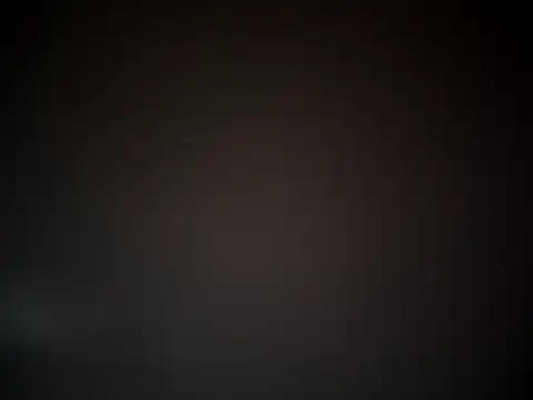 emerdal webcam