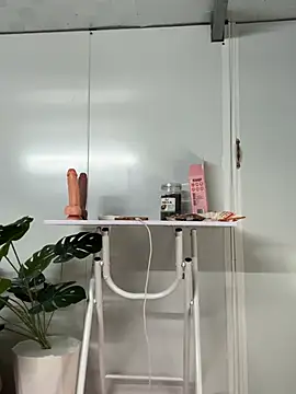 Nana-19 webcam