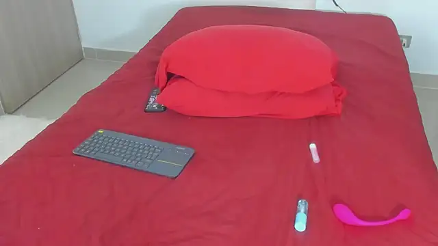 Arimonroee webcam