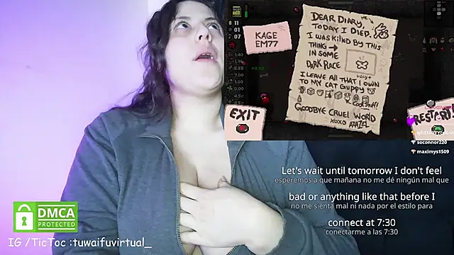 TuWaifuVirtual1 webcam