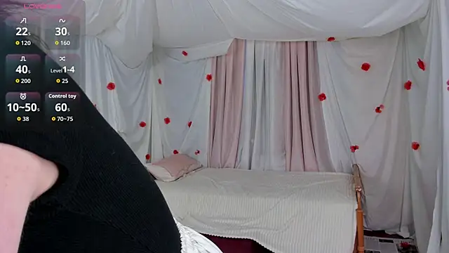 Crazykitta webcam