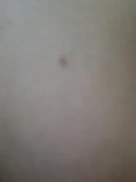 DianiQueenn webcam