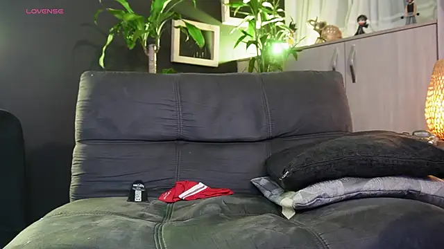 LincomAmith webcam