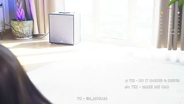 disco_elysium webcam