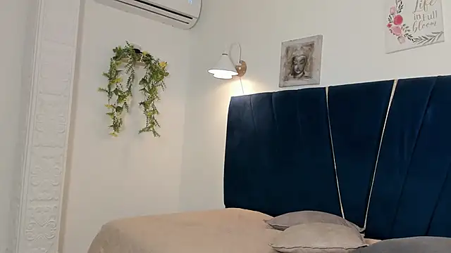 An_fox23 webcam
