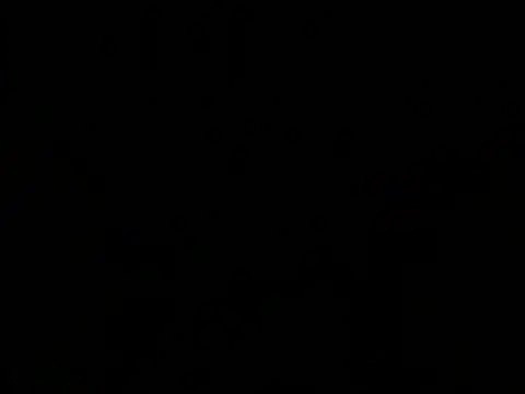 Gibiidive webcam