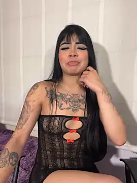 -Brittanny webcam