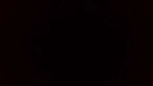 Stevenson988 webcam