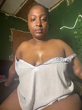 Sollybunny webcam