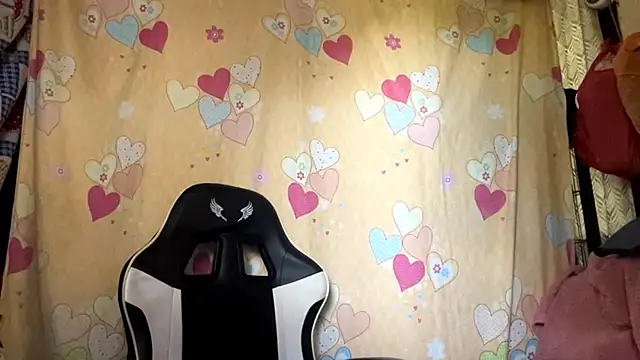 PiaSwida webcam