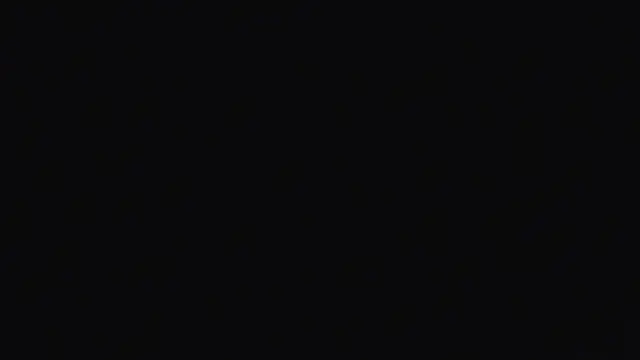 sasi_luna webcam