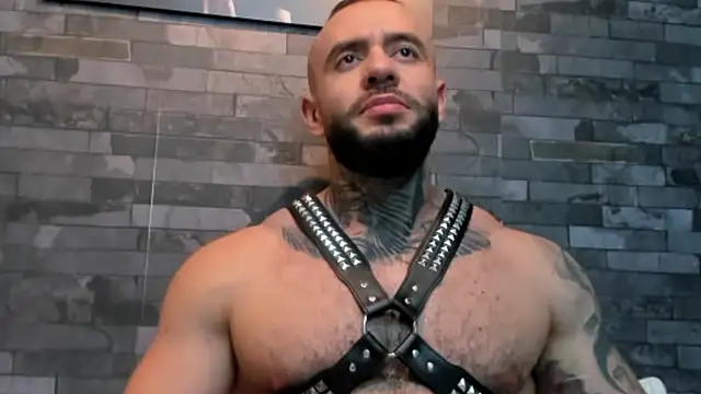 BruceDallas webcam
