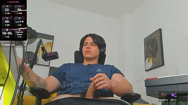 Thom_Ohtani webcam