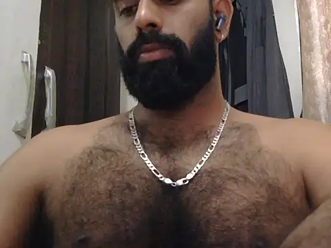 indianhairybull webcam