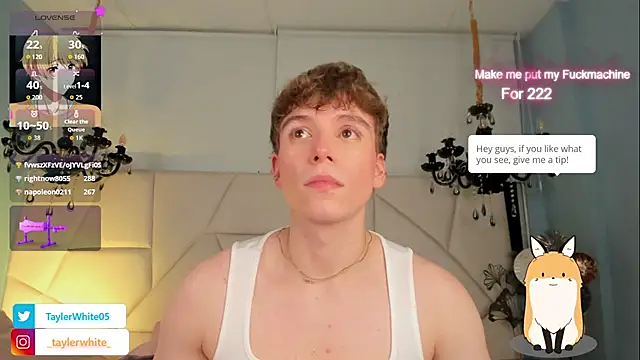 TaylerWhite webcam