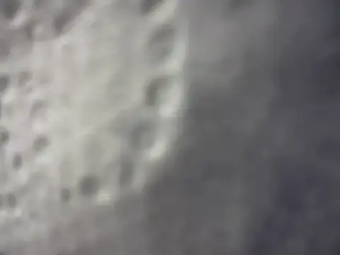 whiteuncut webcam