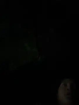 BunnyYT webcam