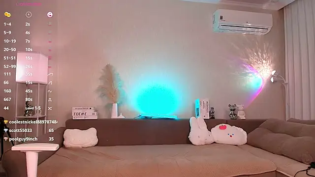 Petitekaya webcam