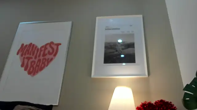 Scarleet_DH webcam