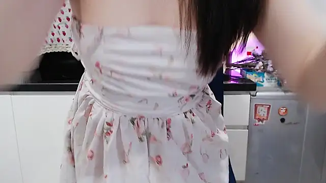 Rinasaki webcam