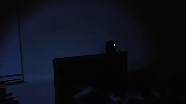 69woodinson webcam