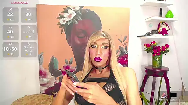 karlaveckyts webcam