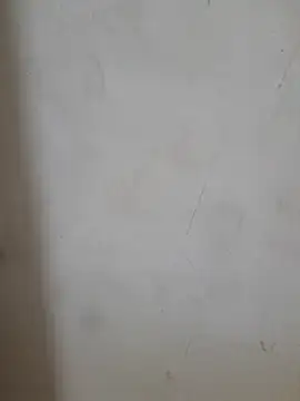 Teri_lella