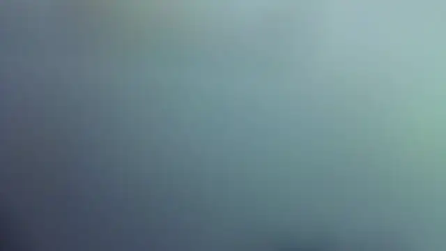 LilyIrons webcam