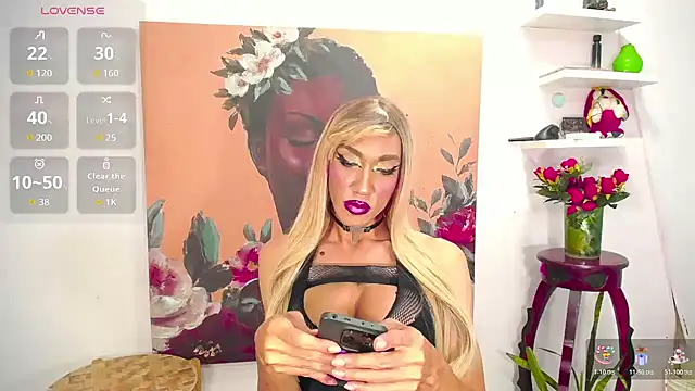 karlaveckyts webcam
