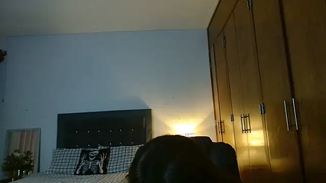 3littles webcam