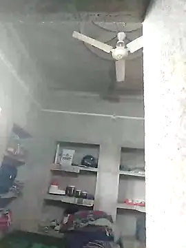 Loomaraj webcam