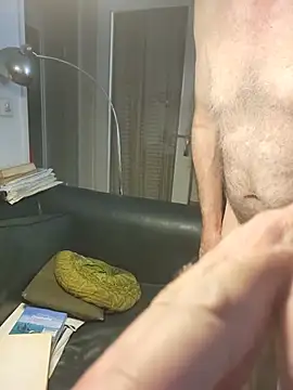 briochin webcam