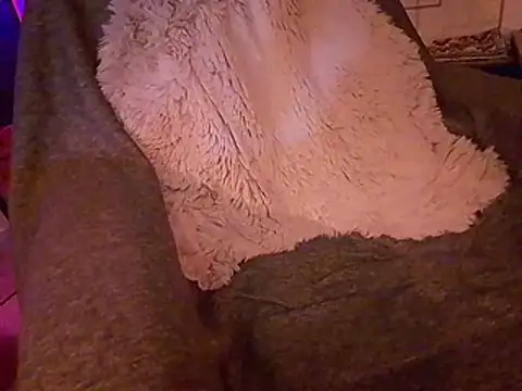 Loncoc webcam