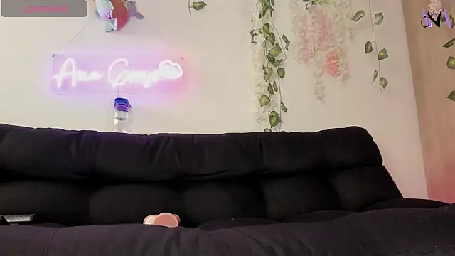 Anagreys webcam