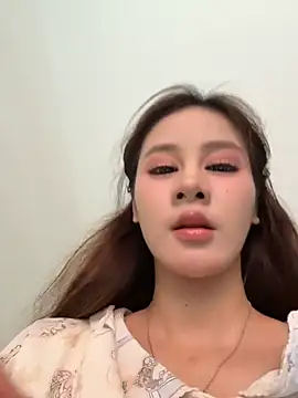 Aria-1111 webcam