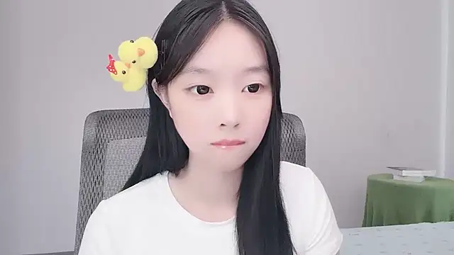 Yoyo33355 webcam