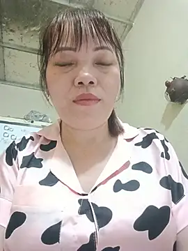 Sana-vn webcam