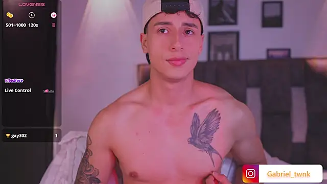 I_Gabriel webcam