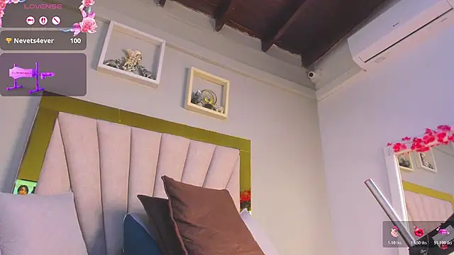 vahiolet_fuentes webcam