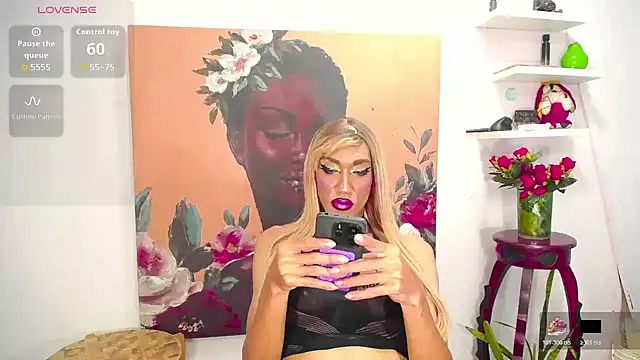karlaveckyts webcam