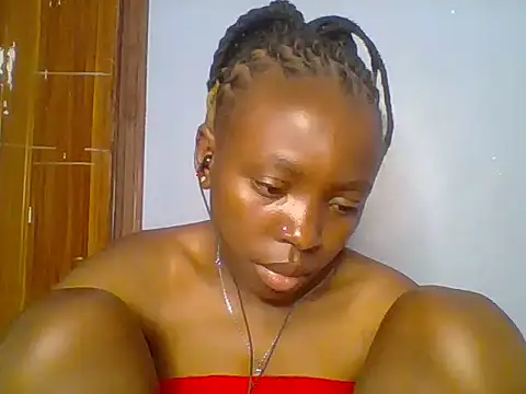 Chocolate-brownie webcam