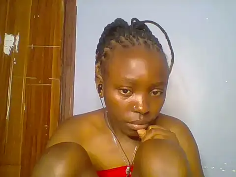 Chocolate-brownie webcam