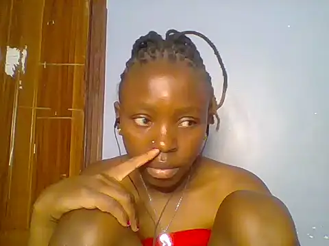 Chocolate-brownie webcam